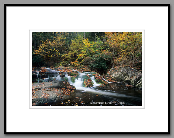 Laurel Creek, Smoky Mountain NP, TN