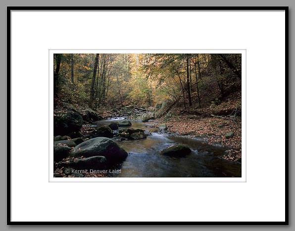 Laurel Creek, Smoky Mountain NP, TN