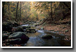 Laurel Creek, Smoky Mountain NP