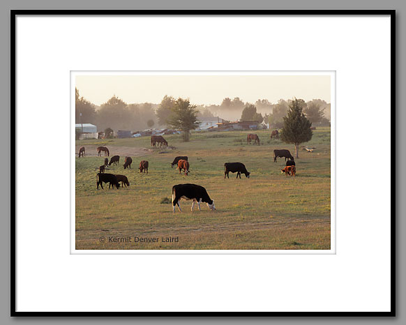 Rural Farm, Oktibbeha County, Mississippi