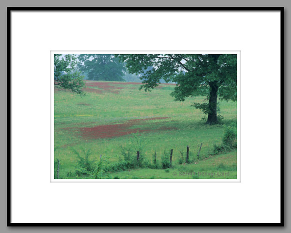 Pasture, Oktibbeha County, MS