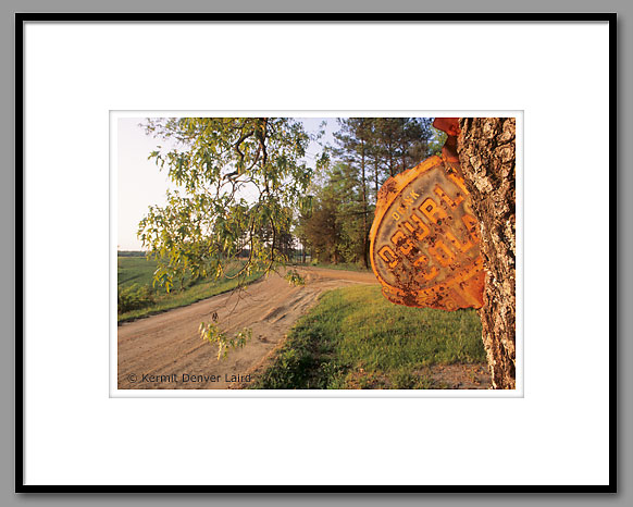 Double Cola sign, Noxubee County, MS