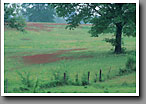 Pasture, Oktibbeha County, MS