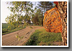 Double Cola Sign, Noxubee County, MS