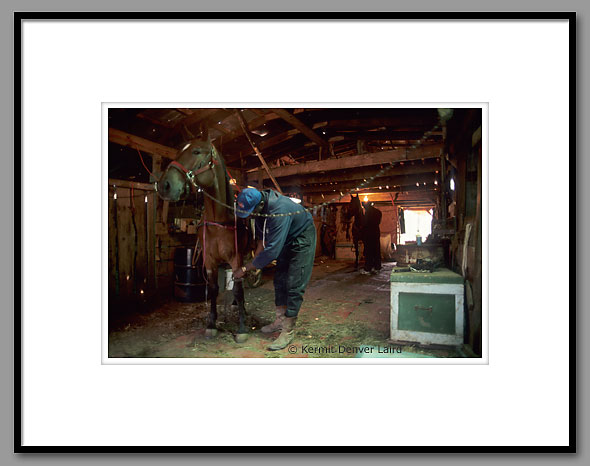 Harness Racing, Oktibbeha County, MS