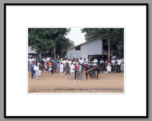 Harness Racing, Outlaw's Track, Oktibbeha County, MS