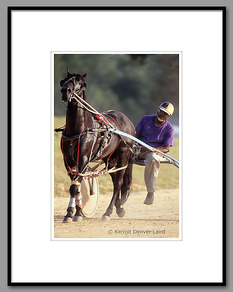 Harness Racing, Frank Bell, Oktibbeha County, MS