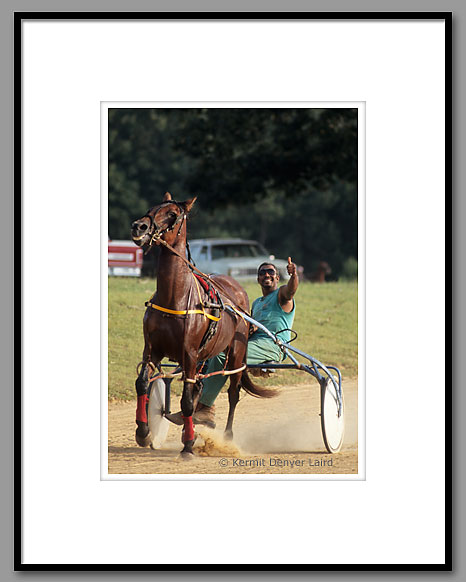 Harness Racing, Henry Lee, Oktibbeha County, MS