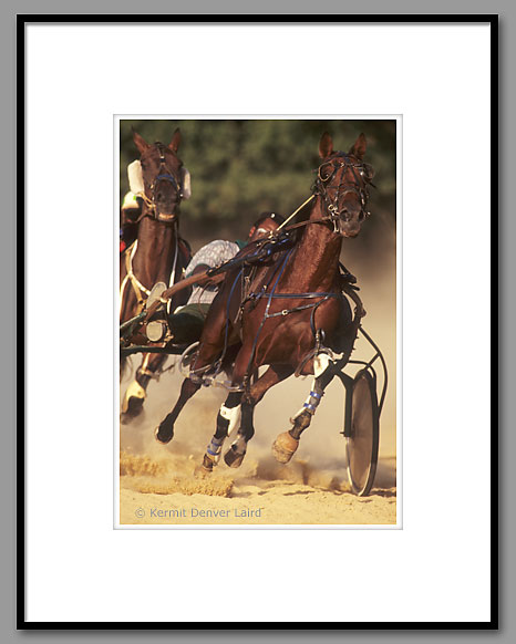 Harness Racing, Curtis Rice, Oktibbeha County, MS