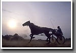 Harness Racing, Minor's Track, Oktibbeha County, MS