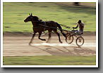 Harness Racing, Zan Jogging, Minor's Track, Oktibbeha County, MS