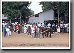 Harness Racing, Outlaw's Track, Oktibbeha County, MS