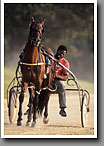 Harness Racing, Larry's Smoke Break, Minor's Track, Oktibbeha County, MS