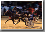 Harness Racing, Outlaw's Track, Oktibbeha County, MS