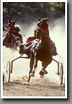 Harness Racing, Minor's Track, Oktibbeha County, MS