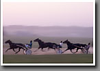 Harness Racing, Minor's Track, Oktibbeha County, MS