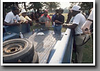 Harness Racing, Friendly Wager?, Minor's Track, Oktibbeha County, MS