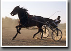 Harness Racing, Sammy Bush, Minor's Track, Oktibbeha County, MS