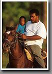 Harness Racing, Backrider, Minor's Track, Oktibbeha County, MS