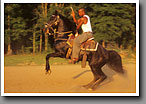 Harness Racing, Backrider, Minor's Track, Oktibbeha County, MS