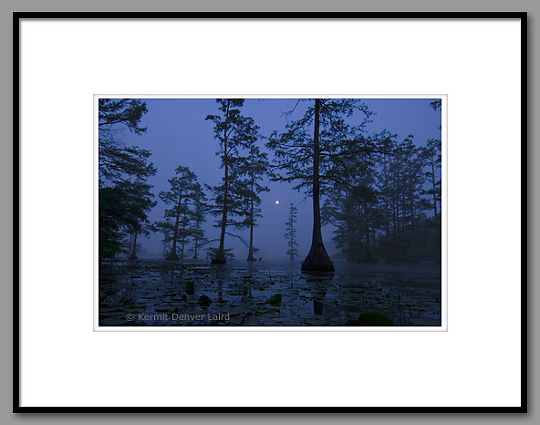 Doyle Arm Lake, Moonset, Noxubee NWR, MS