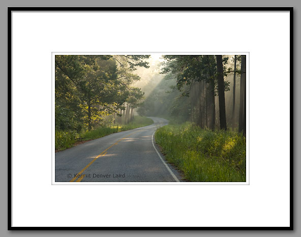 Roadway, Noxubee NWR, MS