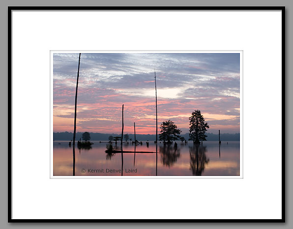 Bluff Lake, Noxubee NWR, MS