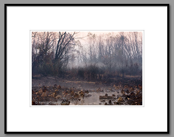 Loakfoma Lake, Noxubee NWR, MS