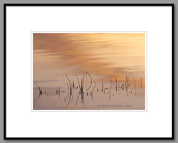 Reflection, Bluff Lake, Noxubee NWR, MS