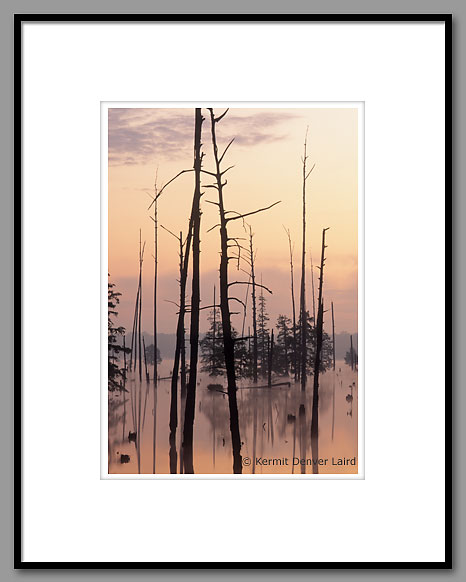 Bluff Lake, Noxubee NWR, MS