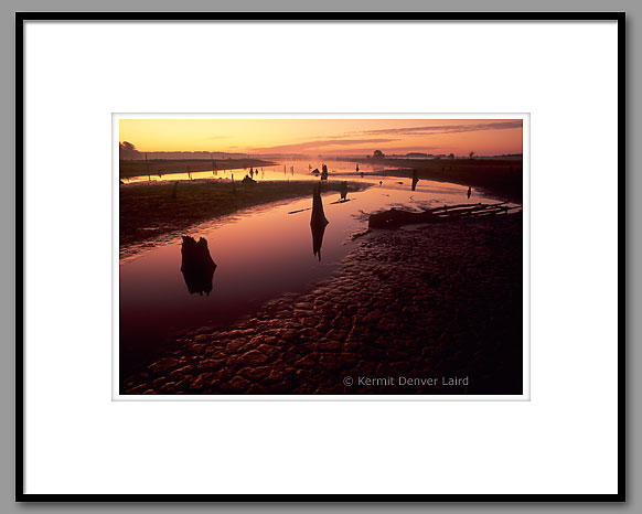 Doyle Arm Lake, Noxubee NWR