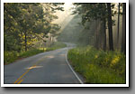 Louisville Road, Noxubee NWR, MS