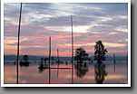 Bluff Lake, Dawn, Noxubee NWR