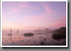 Loakfoma Lake, Dawn, Noxubee NWR