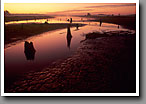 Doyle Arm Lake, draw-down stage, dawn, Noxubee NWR