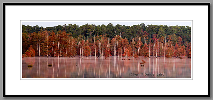 Bluff Lake, Noxubee NWR