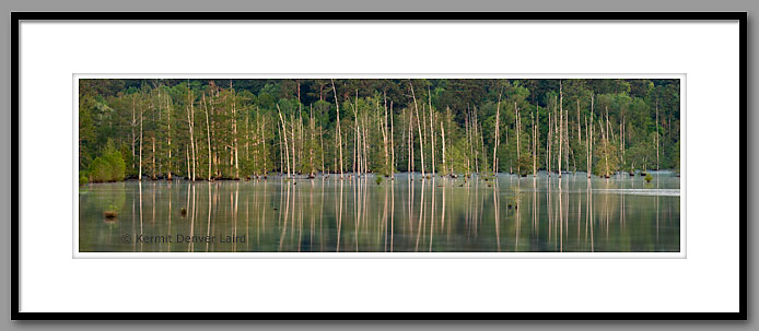 Bluff Lake, Noxubee NWR