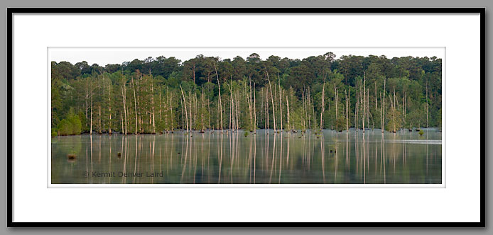 Bluff Lake, Noxubee NWR