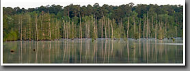 Bluff Lake, Spring, Noxubee NWR, MS