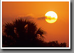 Everglades Sunset, Collier County, FL