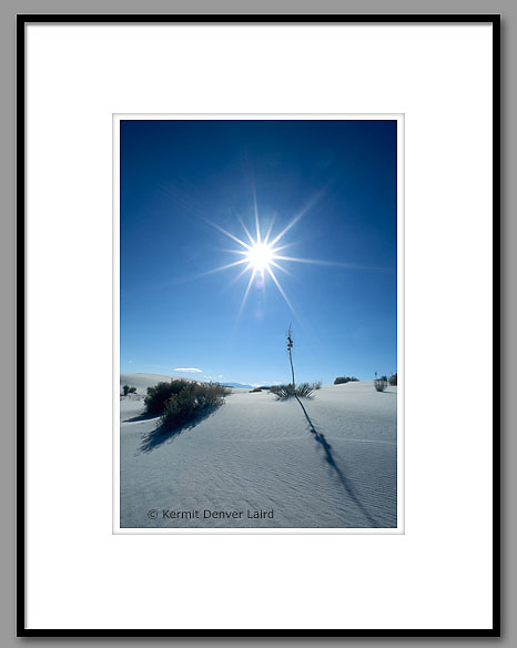 Dunescape, White Sands, NM