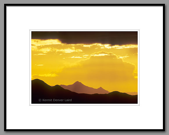 Roskruge Mountains, Saguaro NP, AZ