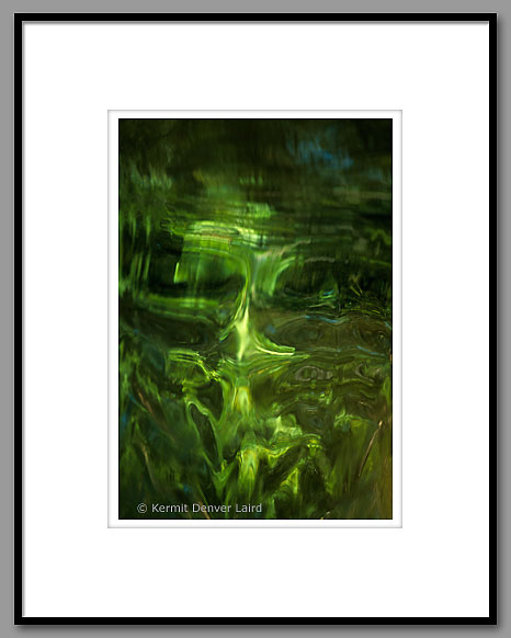 Face In The Water, Noxubee NWR, MS