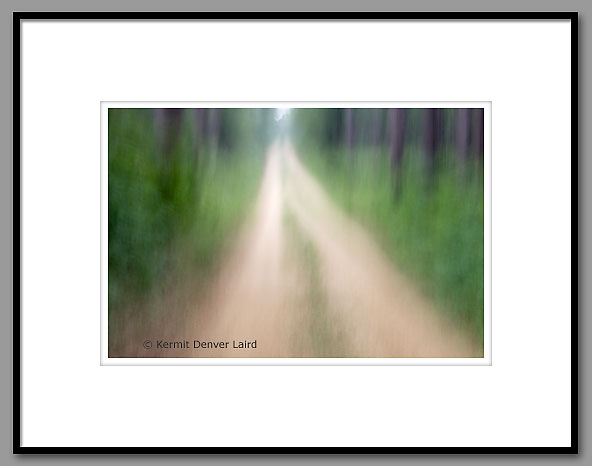 Roadway, Impressions, Noxubee NWR, MS